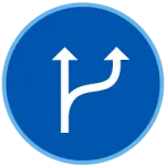 two paths icon